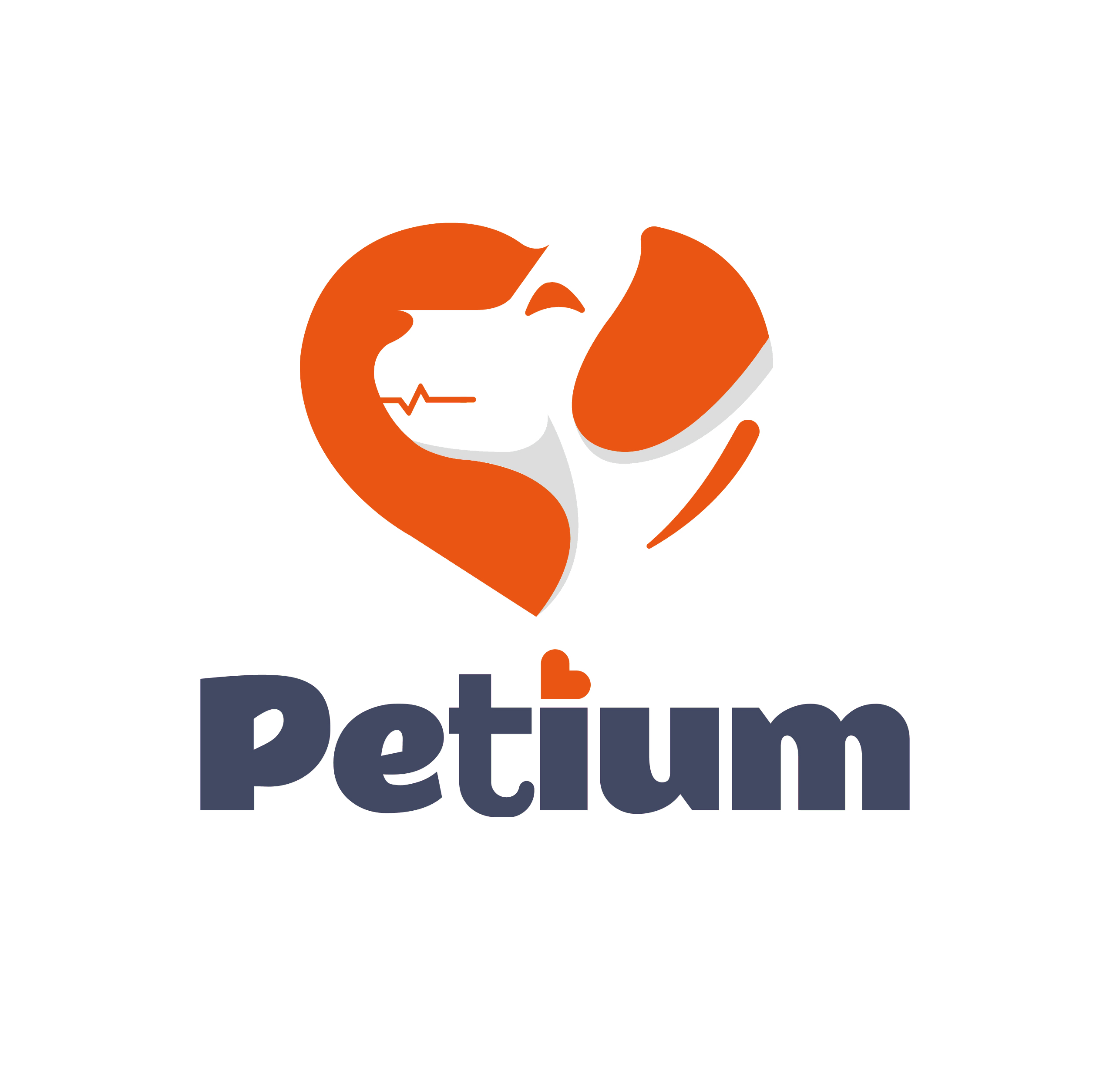 Petium logo for BaysonTech-owned pet intelligence hardware platform